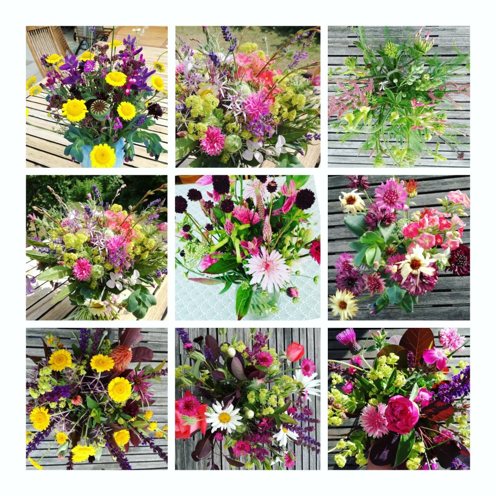 IMG_20180627_231210_863