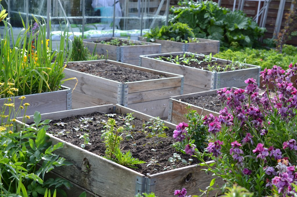 Skærehaven 15. maj 2020