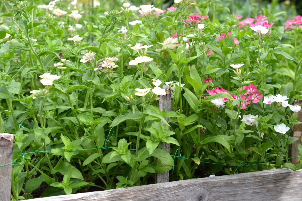 This image has an empty alt attribute; its file name is dsc_0296-7.jpg